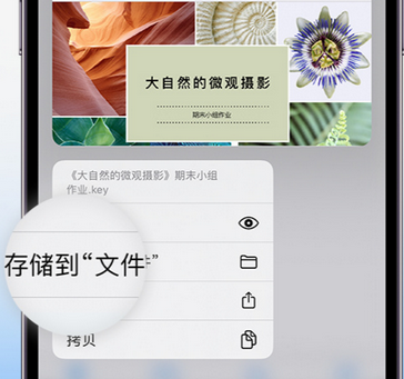 建阳apple维修中心分享iPhone文件应用中存储和找到下载文件