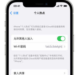 建阳apple服务站点分享iPhone上个人热点丢失了怎么办 