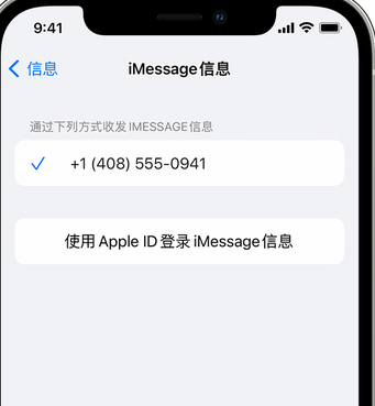 建阳apple维修iPhone上无法正常发送iMessage信息 