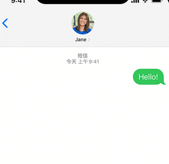 建阳apple维修iPhone上无法正常发送iMessage信息