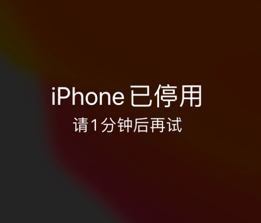 建阳苹果手机维修分享:iPhone 显示“不可用”或“已停用”怎么办？还能保留数据吗？ 