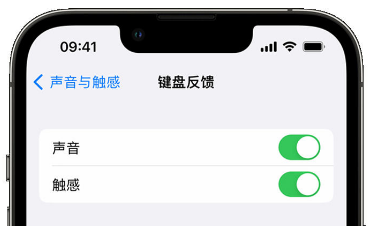 建阳苹果手机维修分享iPhone 14触感键盘使用方法 