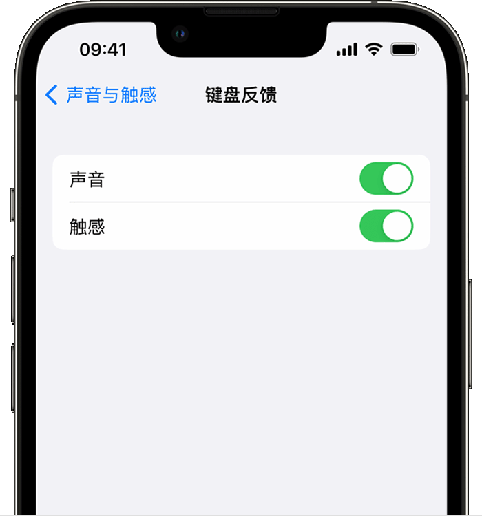 建阳苹果14维修店分享如何在 iPhone 14 机型中使用触感键盘 