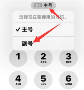 建阳苹果14维修店分享iPhone 14 Pro Max使用副卡打电话的方法 