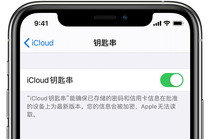 建阳苹果手机维修分享在 iPhone 上开启 iCloud 钥匙串之后会储存哪些信息 