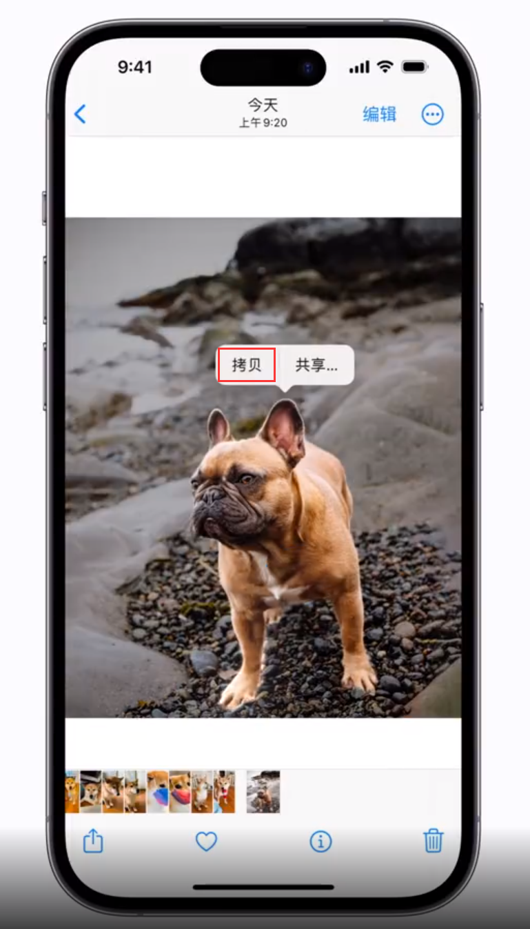 建阳苹果手机维修分享 iOS 16 自带一键抠图功能 