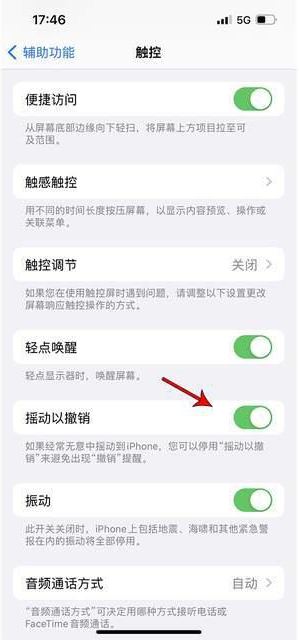 建阳苹果手机维修分享iPhone手机如何设置摇一摇删除文字 