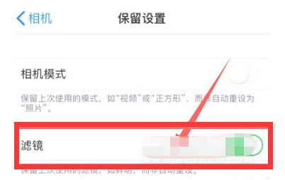 建阳苹果13维修分享iPhone13拍照有绿点是怎么回事 