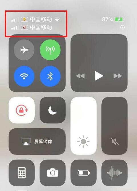 建阳苹果手机维修分享为 iPhone 12 双卡设置标签 