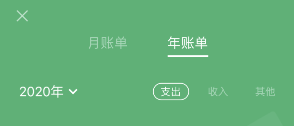 建阳苹果手机维修分享如何在 iPhone 上查看支付宝和微信年支出账单 